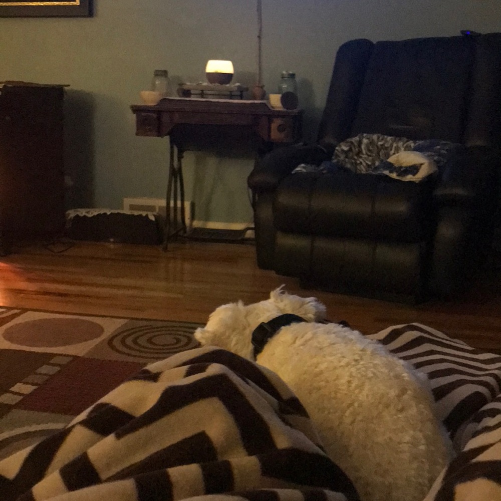 Meet your Posher, Becky